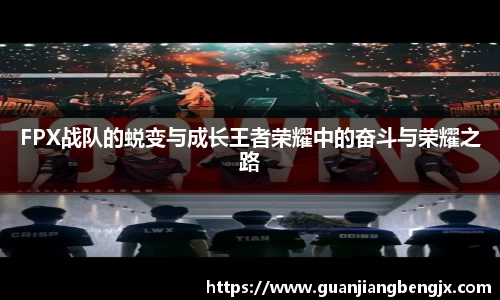 BV伟德官方网站
