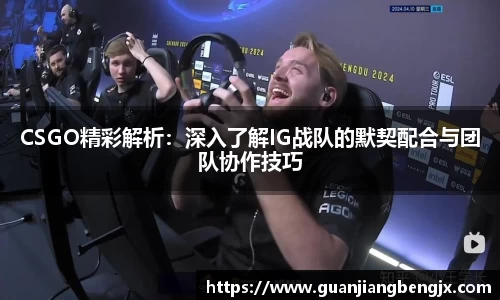 BV伟德官方网站