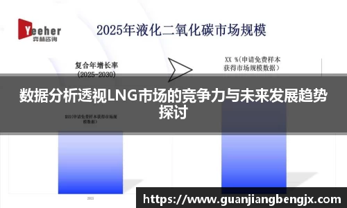 数据分析透视LNG市场的竞争力与未来发展趋势探讨